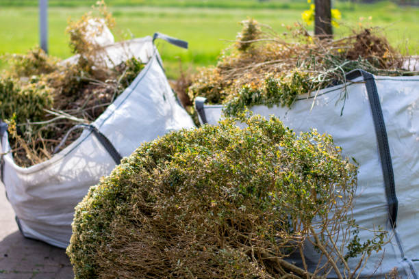 Best Scrap Metal Removal  in Royal Oak, MI